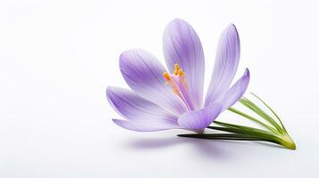 Photo of beautiful Crocus flower isolated on white background. Generative AI