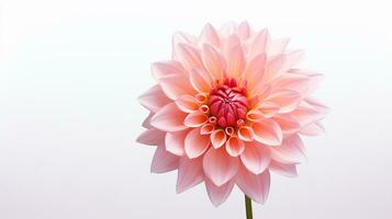 Photo of beautiful Dahlia flower isolated on white background. Generative AI