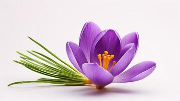 Photo of beautiful Crocus flower isolated on white background. Generative AI