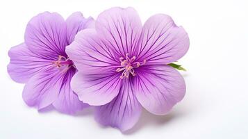 Photo of beautiful Cranesbill flower isolated on white background. Generative AI