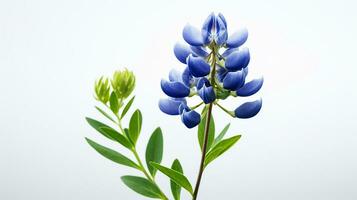 Photo of beautiful Bluebonnet flower isolated on white background. Generative AI