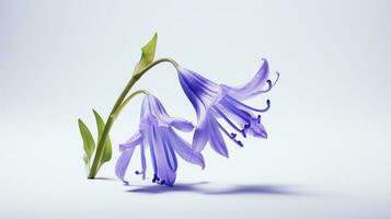 Photo of beautiful Bluebell flower isolated on white background. Generative AI