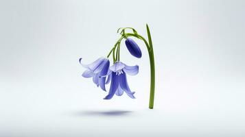 Photo of beautiful Bluebell flower isolated on white background. Generative AI