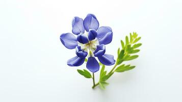 Photo of beautiful Bluebonnet flower isolated on white background. Generative AI