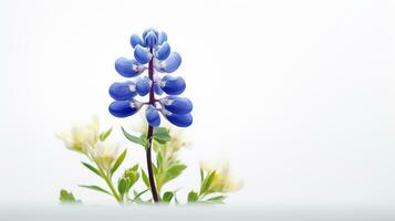 Photo of beautiful Bluebonnet flower isolated on white background. Generative AI