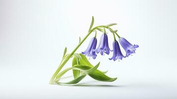 Photo of beautiful Bluebell flower isolated on white background. Generative AI