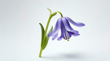 foto de hermosa campanilla flor aislado en blanco antecedentes. generativo ai