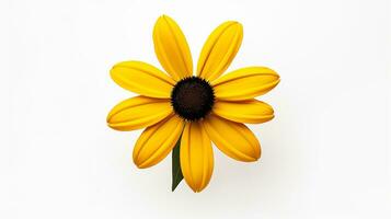 Photo of beautiful Black-Eyed Susan flower isolated on white background. Generative AI