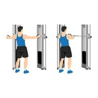 Man doing reverse cable flyes exercise. Flat vector illustration isolated on white background