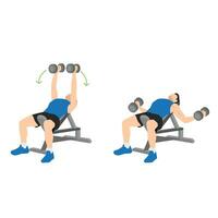 Man doing Incline bench dumbbell flyes exercise. Flat vector illustration isolated on white background