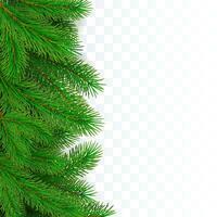 Fir tree border background. Christmas tree brancher. Realistic New Year seasonal decorations. Vector illustration