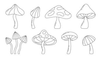 Collection of outline mushrooms isolated on white background. Hand drawn mushroom in line style. Vector illustration.