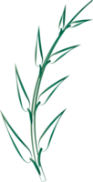 blad lövverk växt botanisk för dekorativ abstrakt bakgrund png
