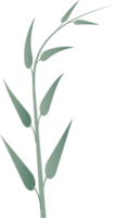 feuille feuillage plante botanique pour décoratif abstrait Contexte png