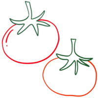 illustrazione acquerello rosso pomodoro png