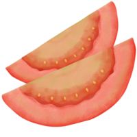 ilustración acuarela rojo tomate png