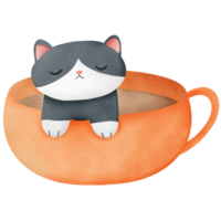 Cat is on orange cup png