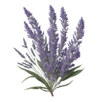 vattenfärg blommig design, vattenfärg blommig blomma, vattenfärg blombukett, vattenfärg bukett blomma, bröllop blomma, vattenfärg blommig design, botanisk blomma, akvarell dekoration, ai genererad png