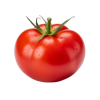 rot Tomate, rot Tomate png, transparent Hintergrund, ai generiert png