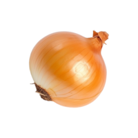 Onion, Onion Png, Transparent Background, AI Generated png