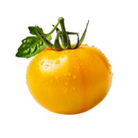 Gelb Tomate png, transparent Hintergrund, ai generiert png