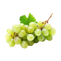 uvas, uvas png, uvas transparente fundo, ai gerado png