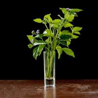 Flowers in a small glass vase on the black background photo