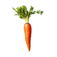 Red Carrot, Red Carrot Png, Transparent Background, AI Generated png