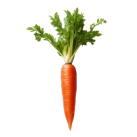 rosso carota, rosso carota png, trasparente sfondo, ai generato png