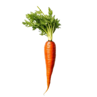 rosso carota, rosso carota png, trasparente sfondo, ai generato png