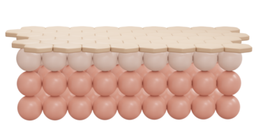 3d tolkning av sexhörning mönster närbild av rena perfekt hud cell lager för kosmetisk annonsera. 3d framställa illustration. png