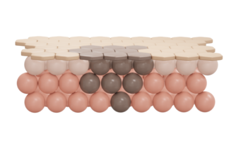 3d interpretazione di pelle cellula con buio individuare strato per cosmetico pubblicizzare. 3d rendere illustrazione. png