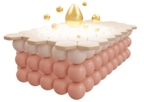 3d le rendu de sérum crème et vitamine laissez tomber sur fermer peau cellule couche pour cosmétique afficher. 3d rendre illustration. png