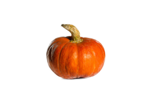 Orange pumpkin on a white or invisibly background png