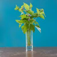 Flowers in a small glass vase on the blue background photo