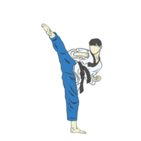 taekwondo kämpe illustration png