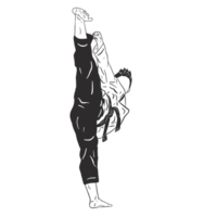 Taekwondo Kämpfer Illustration png