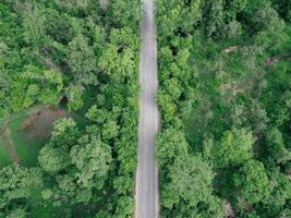 Aerial view of road in green forest. Amazing landscape with rural road photo