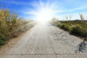 camino, césped flores y brillante azul cielo, tiempo de día luz solar. foto