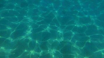 Shimmering sunlight on the Seafloor in clear blue water video