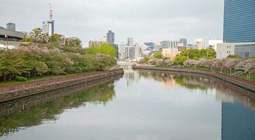 The river in the city. photo