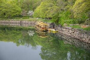 Small boat in nation park. photo
