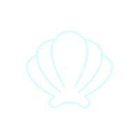 illustration of clam shell png