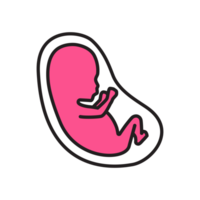 ilustração do bebê em barriga png