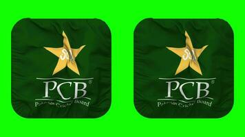 Pakistan criquet conseil, pcb drapeau icône dans écuyer forme isolé avec plaine et bosse texture, 3d le rendu, vert filtrer, alpha mat video