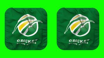 Cricket South Africa, CSA Flag Icon in Squire Shape Isolated with Plain and Bump Texture, 3D Rendering, Green Screen, Alpha Matte video