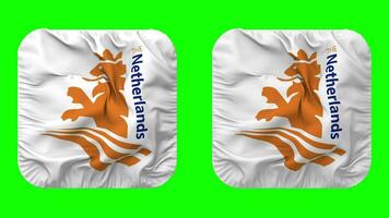 kunglig dutch cricket förening, cricket nederländerna flagga ikon i väpnare form isolerat med enkel och stöta textur, 3d tolkning, grön skärm, alfa matt video