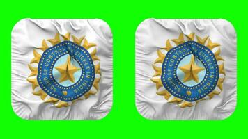 styrelse av kontrollera för cricket i Indien, bcci flagga ikon i väpnare form isolerat med enkel och stöta textur, 3d tolkning, grön skärm, alfa matt video