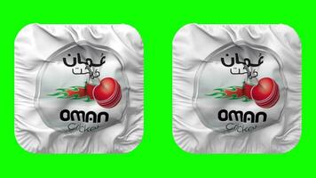 oman nationell cricket team, oman cricket styrelse flagga ikon i väpnare form isolerat med enkel och stöta textur, 3d tolkning, grön skärm, alfa matt video