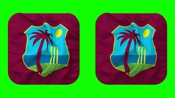 Cricket West Indies, CWI Flag Icon in Squire Shape Isolated with Plain and Bump Texture, 3D Rendering, Green Screen, Alpha Matte video